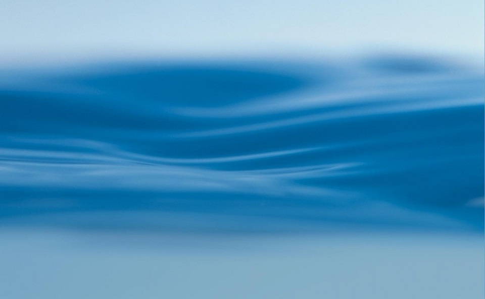 Desarrollo de Ingeniería